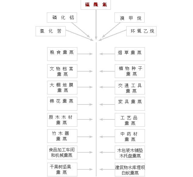 檔案熏蒸殺蟲公司