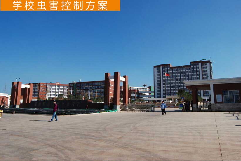 學(xué)校殺蟲滅鼠方案
