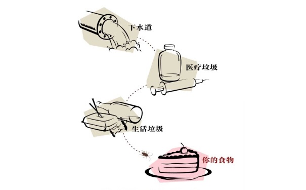 如何使用蟑螂藥才能達(dá)到最佳效果