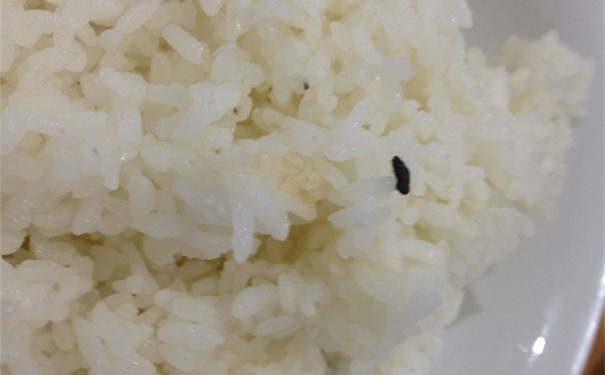 流行性出血熱進(jìn)入發(fā)病高峰:一顆老鼠屎差點要了老農(nóng)命