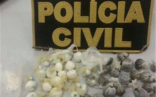 巴西毒販訓(xùn)練老鼠運(yùn)毒品 警方繳獲后將其放生