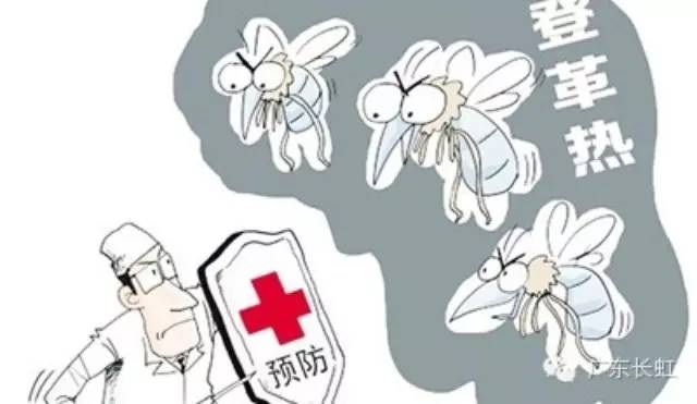 除蟲公司預(yù)防登革熱
