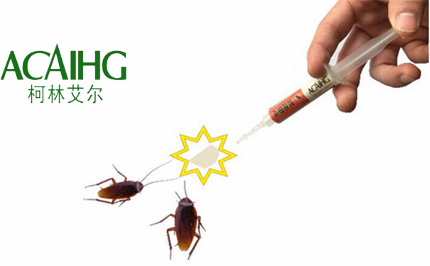 滅蟑螂公司如何徹底滅掉蟑螂卵