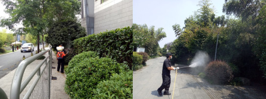 白蟻防治