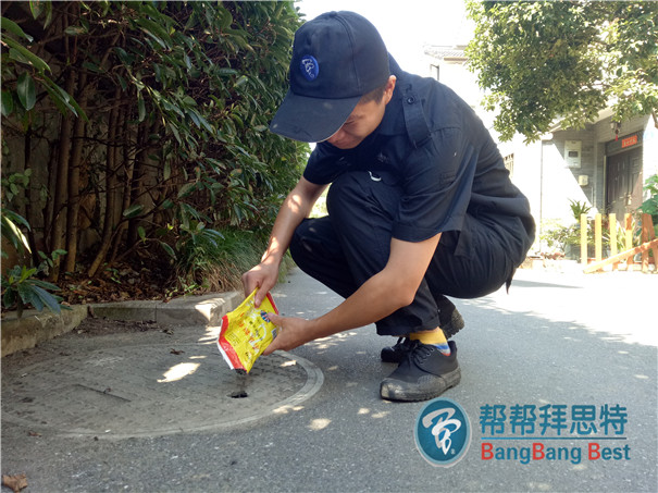 滅鼠公司詳解公共環(huán)境滅鼠最佳方法