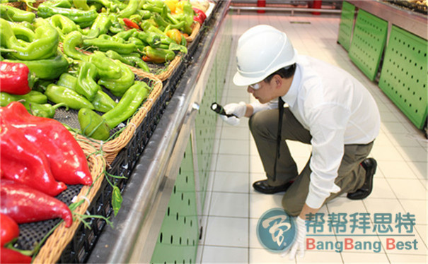 專業(yè)滅鼠公司教你:滅老鼠最有效的方法