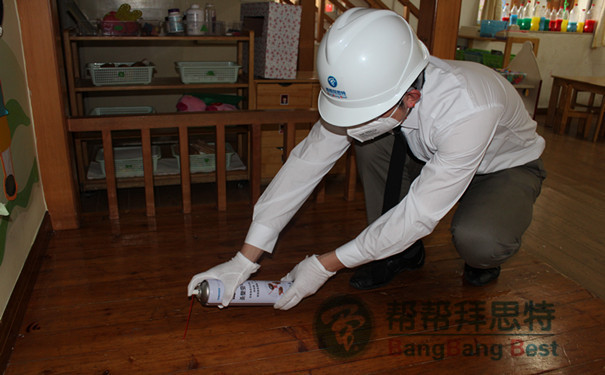 白蟻怎么滅效果才最佳