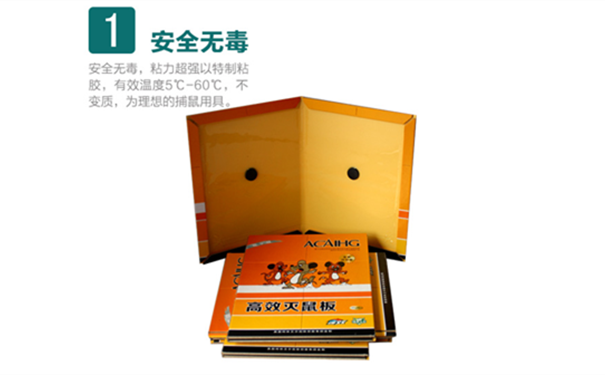 如何正確挑選及使用粘鼠板控蟲公司來(lái)教你