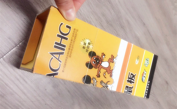 如何正確挑選及使用粘鼠板控蟲公司來(lái)教你
