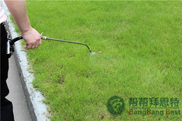 農(nóng)貿(mào)市場蟲害怎么控制最有效