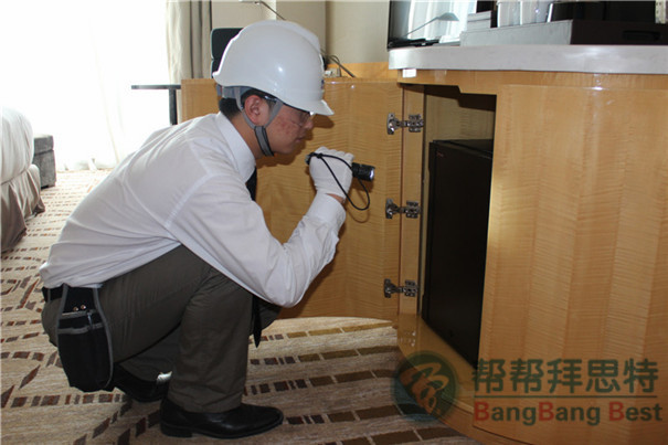 蟑螂密度調(diào)查方法控蟲公司來教你