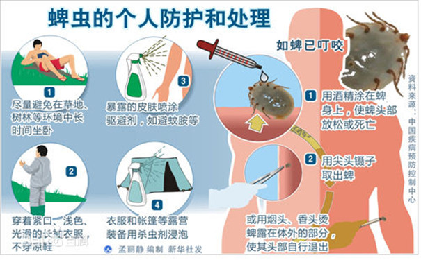 蜱蟲是什么怎么預(yù)防蜱蟲叮咬