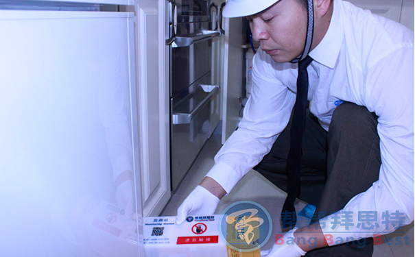 捕鼠工具怎么布放滅鼠公司來(lái)教你