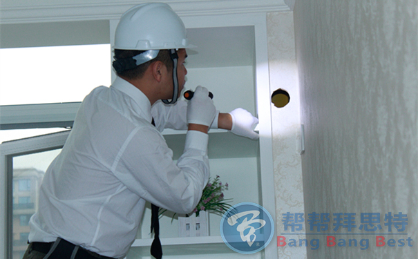 捕鼠工具怎么布放滅鼠公司來(lái)教你