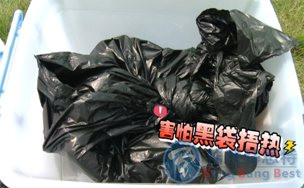 夏天快到了放了一冬天的被子你除螨了嗎