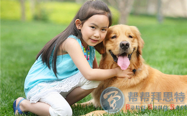 除蟲公司教你發(fā)現(xiàn)和預防寵物身上的寄生蟲