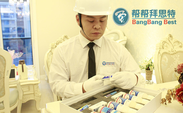 除蟲(chóng)公司滅跳蚤的專業(yè)有效的方法