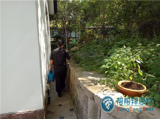 殺蟲公司分析最有效消滅蒼蠅的方法和預(yù)防