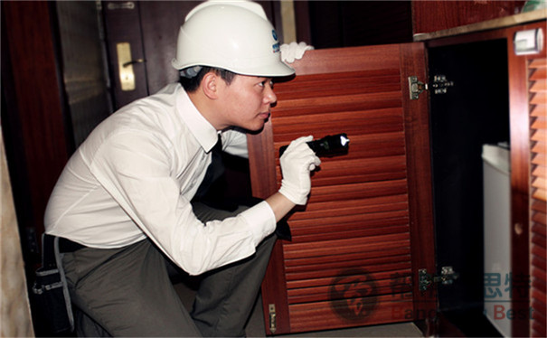 專業(yè)殺蟲(chóng)公司教大家如何消滅臭蟲(chóng)
