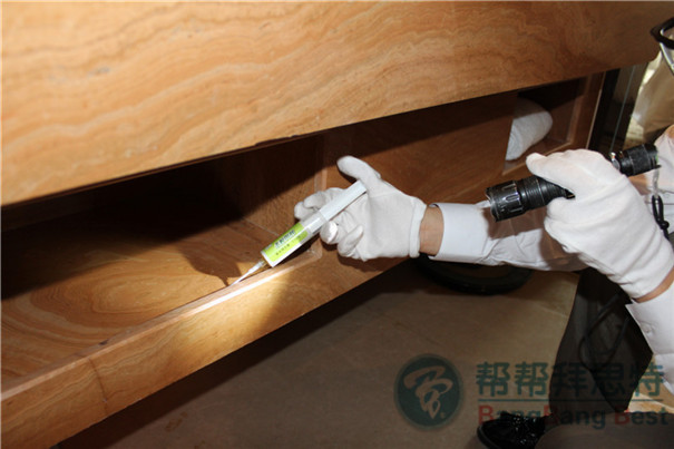 殺蟑螂公司如何有效運用蟑螂藥滅蟑螂