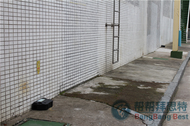 滅鼠公司使用毒餌站的最佳方法