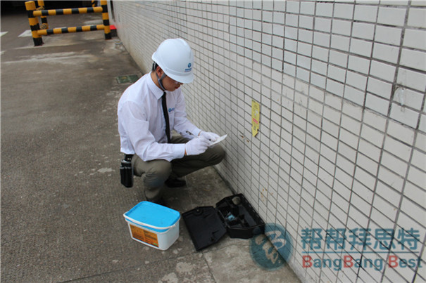 滅鼠公司教您秋季如何正確滅鼠