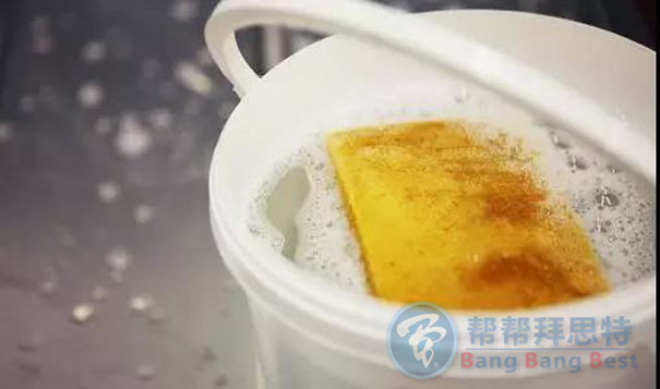 滅蟑公司教你6種家庭輕松滅蟑螂方法