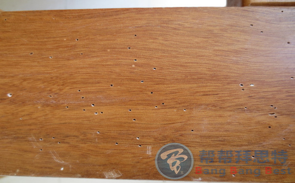 實(shí)木家具發(fā)現(xiàn)粉蠹蟲應(yīng)該如何防治