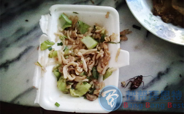 輕松幾部讓蟑螂遠(yuǎn)離你