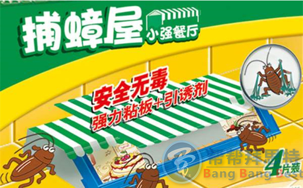 家庭除蟲公司總結(jié)史上最全防蟑方法