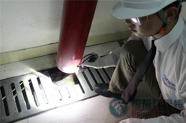 專業(yè)滅鼠公司教您做好餐廳滅鼠