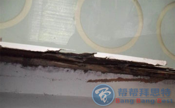 不讓白蟻拆掉您溫馨舒適的家