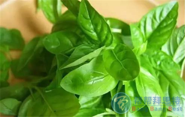 最健康安全的解決辦法——植物防蟲