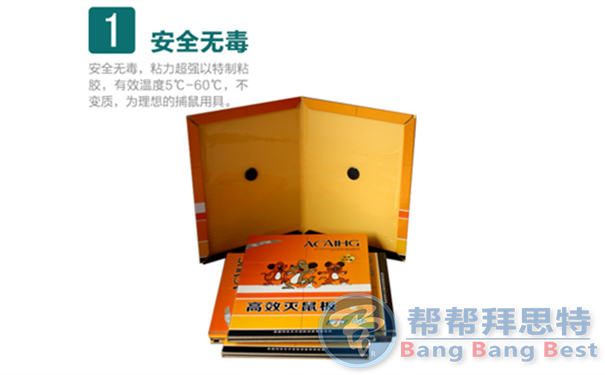 滅鼠公司總結家庭最好最新的滅鼠方法