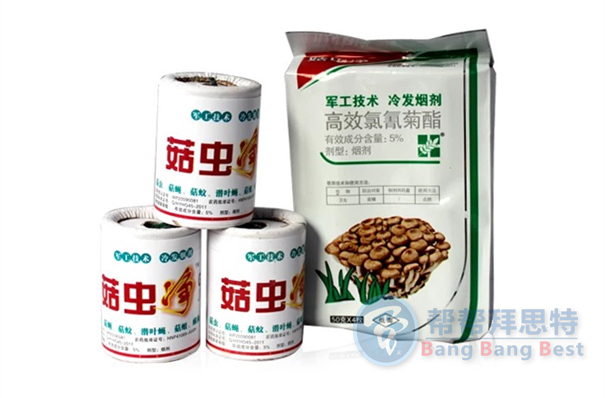滅鼠公司總結家庭最好最新的滅鼠方法