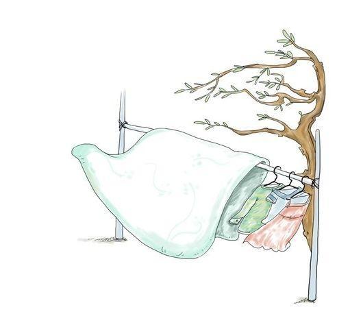 冬天曬被子沒曬對等于白曬，這才是曬被子的正確方式！受用終身