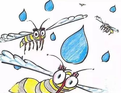 "可以承受的雨滴之重"，當(dāng)雨滴落在了蚊子身上，會(huì)發(fā)生什么