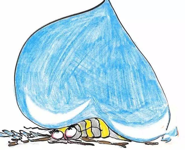 "可以承受的雨滴之重"，當(dāng)雨滴落在了蚊子身上，會(huì)發(fā)生什么