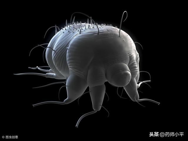 面部發(fā)紅癢癢、反復(fù)過(guò)敏，可能是在提醒做這一件事情，該清除螨了