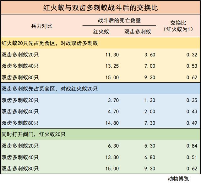 無(wú)敵的紅火蟻誰(shuí)能阻擋？這種黑螞蟻或有希望