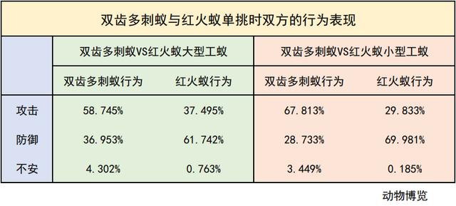 無(wú)敵的紅火蟻誰(shuí)能阻擋？這種黑螞蟻或有希望