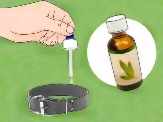 如果發(fā)現(xiàn)家中有跳蚤，只需這樣做，跳蚤就通通不見(jiàn)了