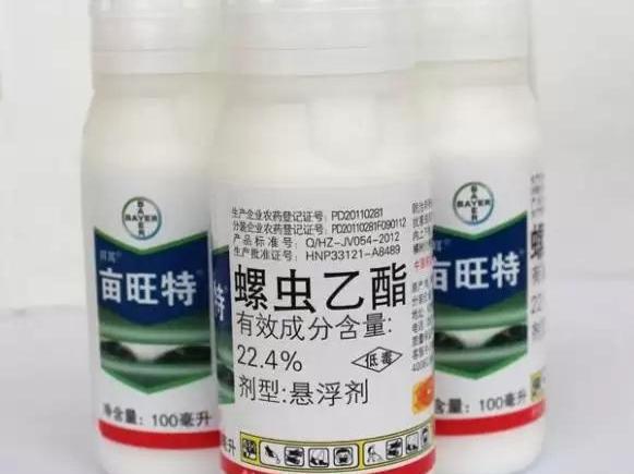 害蟲難防治，殺卵是關(guān)鍵，那么哪些藥劑殺卵效果最好？
