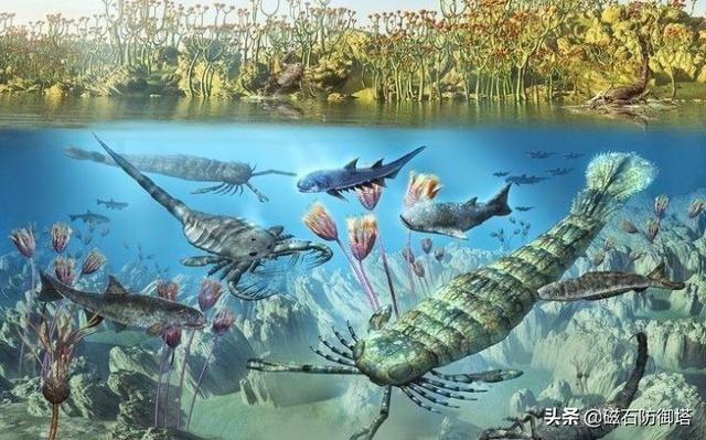 作為恐怖之源的蜘蛛到底從哪里來？淺談螯肢動物進化史