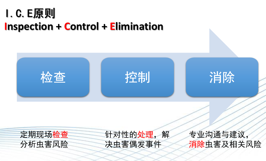 自述|一個(gè)蟲(chóng)控人的多年心得