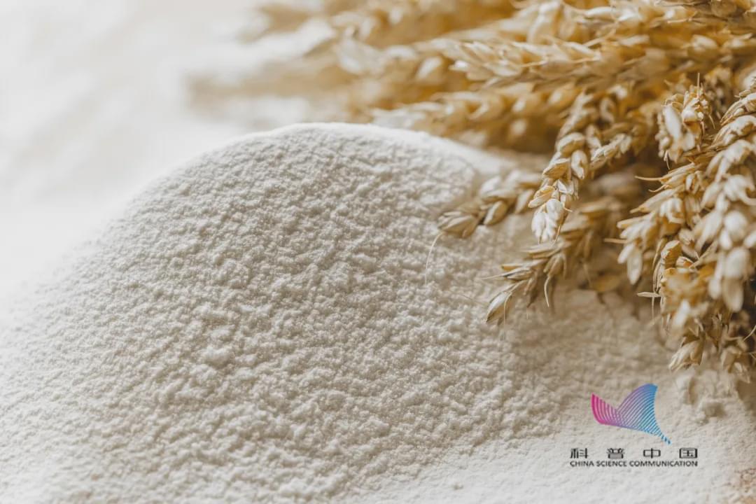 家里的米面為啥憑空出現(xiàn)小蟲(chóng)？