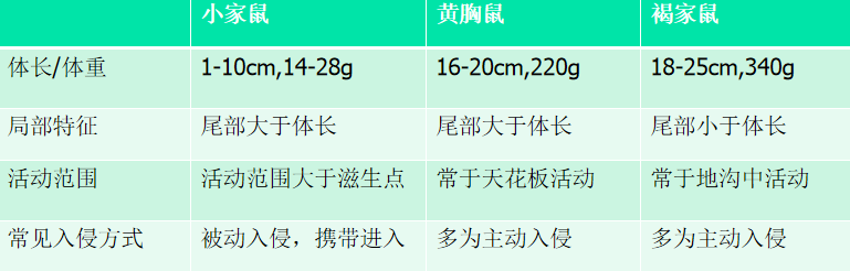 自述|餐飲行業(yè)鼠類如何防治