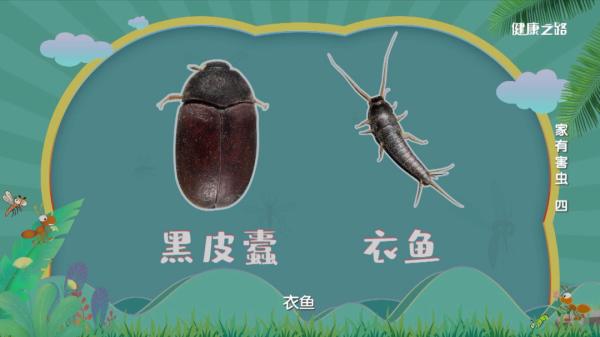專家這么說：家中出現(xiàn)糧食蛀蟲、衣服蛀蟲不要怕！我們有辦法