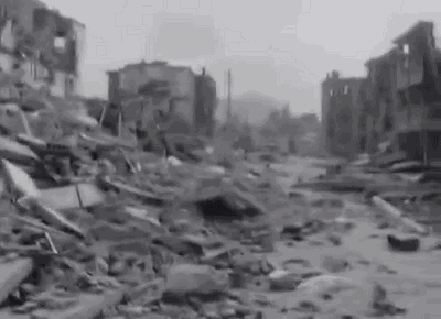 “預(yù)知地震”？昆蟲真的存在這種能力嗎？