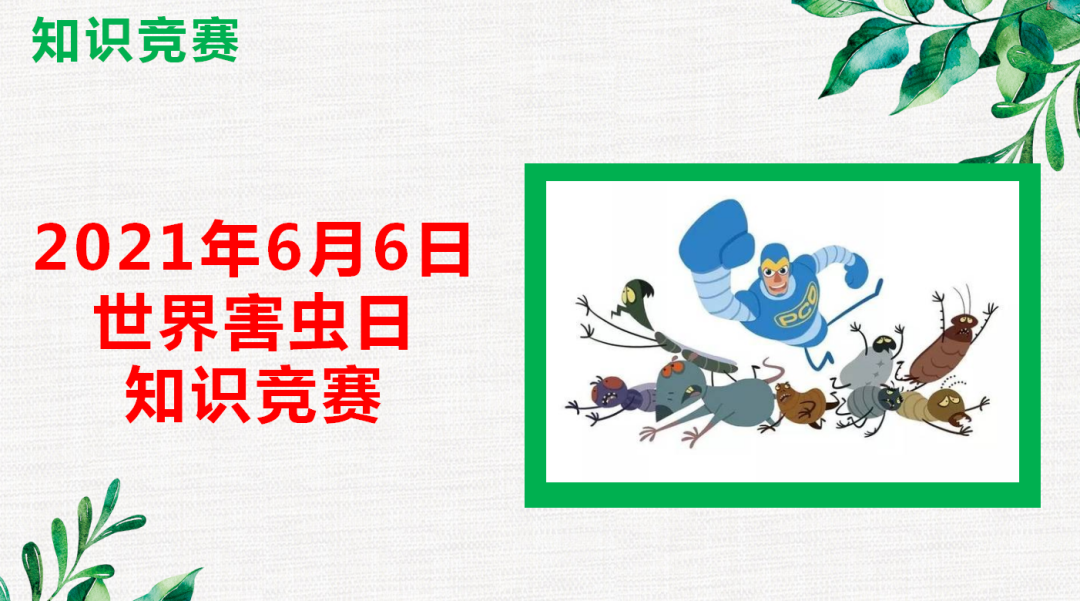 “做好消殺滅,共享好生活”幫幫在行動